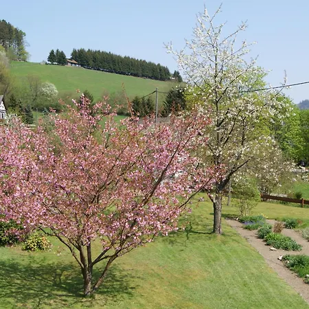 Vendégház & Latroepchen Schmallenberg