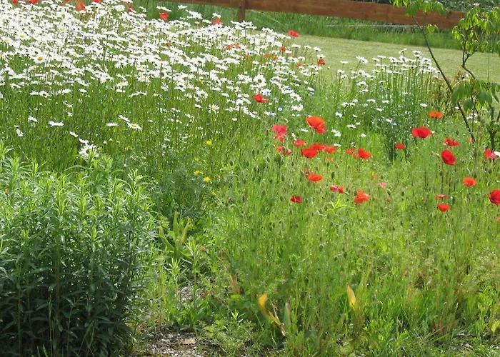 & Latroepchen Gasthuis 3*