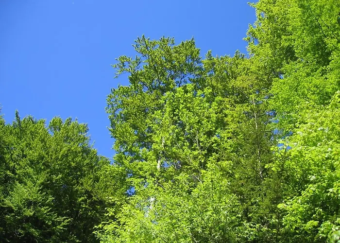 Gasthuis & Latroepchen Schmallenberg